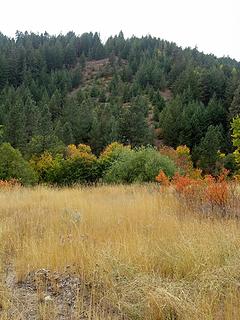 Highpoint along the ridgeline circling the meadows.