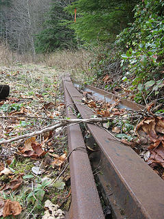 Old tracks laying next to the trail