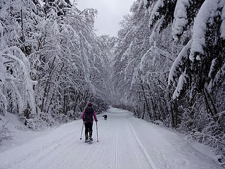 The road is groomed for snowmobiles.