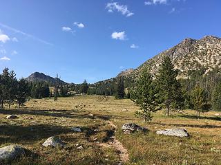 open meadow under Amphitheater