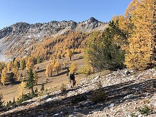 Heading to the round knob of Baldy (which we determined is NOT the summit - so we did the real summit instead!