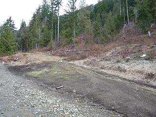 Trail starts on an abandoned logging road