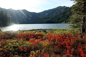 shoreside meadow at Schaefer Lake