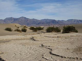 Interesting dried mud