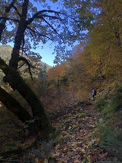 Perry Creek Falls 10/10/19