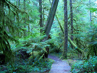 Nature trail loop at the start.