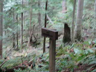 Start of K3 trail from Tiger Mountain trail.