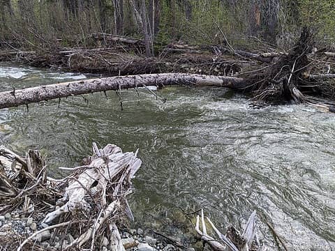 my log crossing over castle creek
