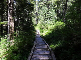 the puncheon bridges were in much better condition as this elevation (~3400':)