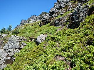 upper heather slopes