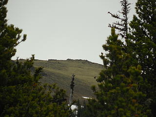 MtTownsend-Summit in view (zoomed)