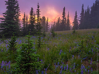 Rainier Misty Sunrise