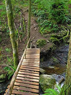 Oyster Creek Crossing