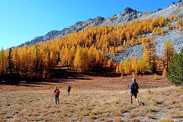 And more hiking pretty meadows toward Baldy