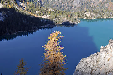 Larch and Lake