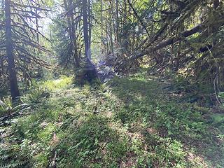 Road divide left to old creek crossing