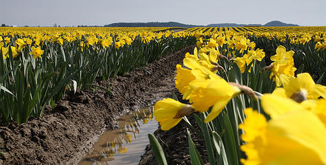 2- Rows and reflections