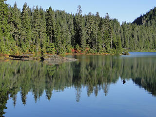 Mowich Lake.