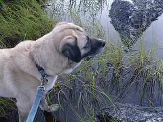 Sabah At Skyline Lake