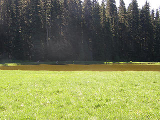 Meadows before Grand Park.