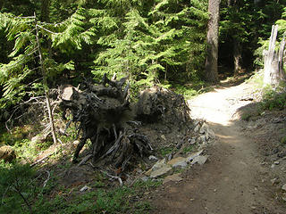 Lower Crystal Lake trail.