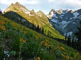 Fisher Peak and environs from Easy Pass