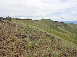 On the trail to Birch Ck BM.