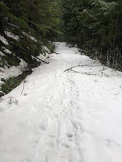 Sunset Mine Trail 1/26/20