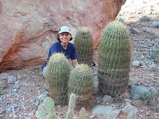 Carefully Enjoying the Cacti