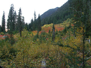 Fall color along Indian Head Creek Trail