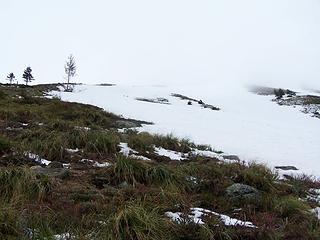 Wind scoured ridge