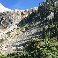 The gully cuts diagonally between the cliff face in sunlight and the trees in shade, middle of photo.