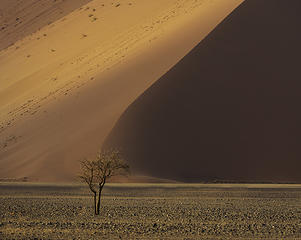 Fuji GFX50s and Canon 70-200 2.8 ii capturing the massive piles of iron oxide sand in the Namib desert