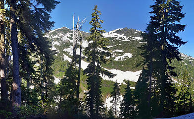 Mount Steel from camp