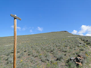 Another marker pole on Yakima Skyline trail with a horse trail sign.
