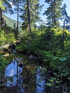 Lower Falls Lake outlet area