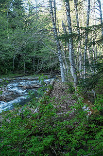 Washed out bridge that used to cross Vista Creek.  Trail beyond now abandoned.