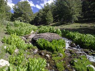 Basin below N side of Eagle Peak