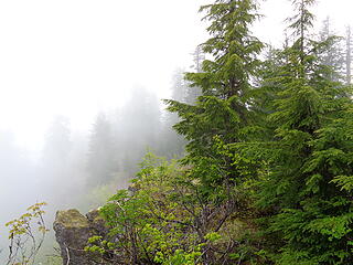 Summit of North Mountain is a short hike up from the bike trail.