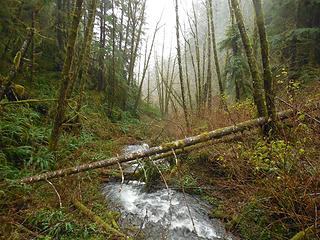 Looking up one creek crossing's drainage