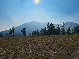 Start of Mt Scott hike