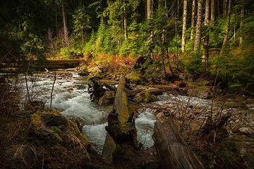 The log crossing to the Pilot Ridge trail... solid but slick.