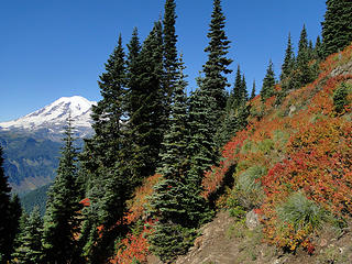 Rainier and fall colors on Shriner Peak trail.