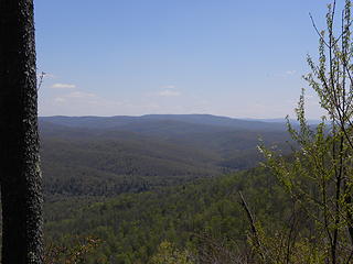 view southeast from private land clearcut from Allegheny Trail