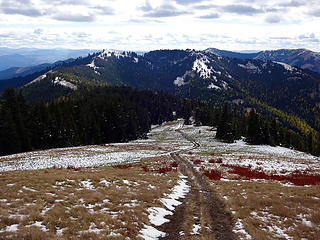 Looking toward the highpoint of Benewah County, Idaho.