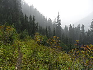 fall colors beginning to show-up