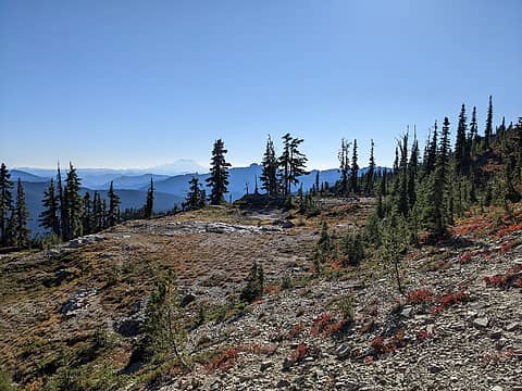 Deadhead Pass meadows