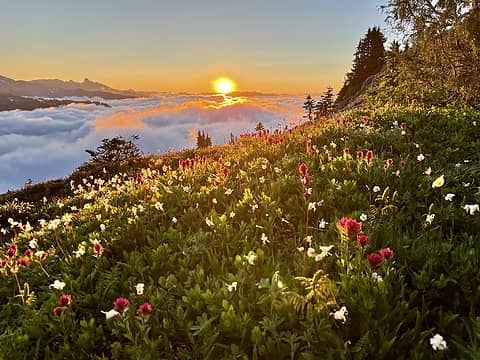 Tatoosh sunrise