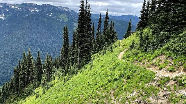 The views really open up and the trail is amazing beautiful once it levels out