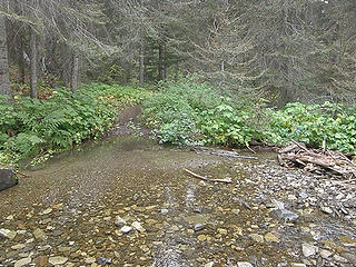 Fairly early (and most likely to get wet) creek crossing if you slip on a log.